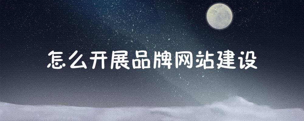 怎么開展品牌網(wǎng)站建設